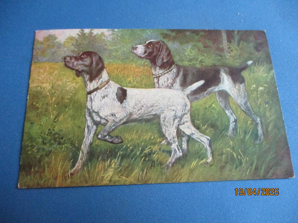 36 dieren, Ophalen of Verzenden, Voor 1920, Gelopen