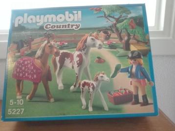 Playmobil Paddock met paardenfamilie