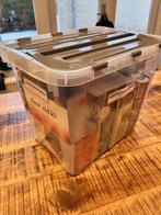 Compleet Noodpakket, Volgens Overheidsadvies, Caravans en Kamperen, Kampeeraccessoires, Ophalen of Verzenden, Nieuw