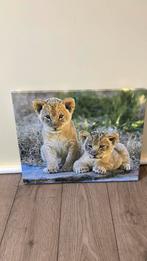 Afbeelding canvas tijgerwelpjes 40 x 60 cm, Zo goed als nieuw, 50 tot 75 cm, Ophalen