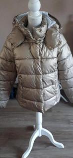 Street One puffer metallic goud maat 36 S, Kleding | Dames, Jassen | Winter, Overige kleuren, Street One, Ophalen of Verzenden