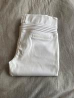 Samshield wedstrijdbroek 40 - full grip, Dieren en Toebehoren, Ophalen of Verzenden, Zo goed als nieuw, Dressuur, Onderkleding