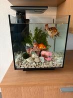 Superfish Qubiq 30 pro aquarium. Compleet, Dieren en Toebehoren, Vissen | Aquaria en Toebehoren, Ophalen of Verzenden, Zo goed als nieuw