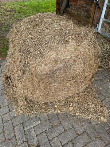 Midi balen  te koop beschikbaar voor biedingen