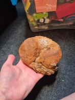 Vos beeld, Ophalen of Verzenden, Zo goed als nieuw, Hond of Kat, Beeldje of Figuurtje