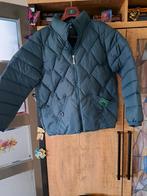 Mooie Dames Winterjas, Kleding | Dames, Maat 42/44 (L), Nieuw, Ophalen of Verzenden, Onbekend