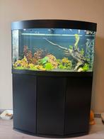 Complete luxe zoetwater aquariumset – instapklaar 180 liter, Ophalen of Verzenden, Zo goed als nieuw, Gevuld zoetwateraquarium