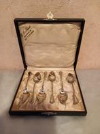 Prachtige cassette met 6 verzilverde lepeltjes, Ophalen of Verzenden