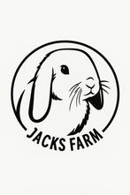 Jacks Farm: konijnenhotel en koppelvakanties, Dieren en Toebehoren, Meerdere dieren, Dwerg
