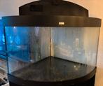 Trigon 190L hoekbak, Dieren en Toebehoren, Vissen | Aquaria en Toebehoren, Ophalen, Gebruikt, Leeg aquarium