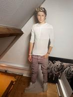 Niall Horan One Direction Kartonnen Standbeeld, Ophalen of Verzenden, Gebruikt