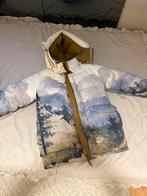 THE NORTH FACE GUCCI WINTERJAS, Kinderen en Baby's, Ophalen of Verzenden, Zo goed als nieuw, Jongetje of Meisje, Jasje