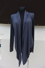 Juffrouw Jansen laagje's vestje S grijs blauw NIEUW, Kleding | Dames, Truien en Vesten, Blauw, Ophalen of Verzenden, Zo goed als nieuw