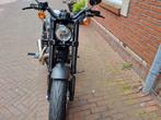 HARLEY-DAVIDSON SPORTSTER ROADSTER XL 1200 CX (bj 2016), Motoren, Motoren | Harley-Davidson, 2 cilinders, HARLEY-DAVIDSON, Motorrijbewijs A