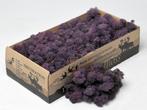 Rendiermos Aubergine, Ophalen of Verzenden, Nieuw