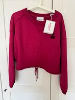 Isabel Marant Etoile sweater Margo 38/M, Kleding | Dames, Truien en Vesten, Nieuw, Ophalen of Verzenden, Rood, Maat 38/40 (M)