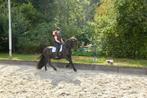 Brave lieve 3 jarige merrie met bemerking, Dieren en Toebehoren, Merrie