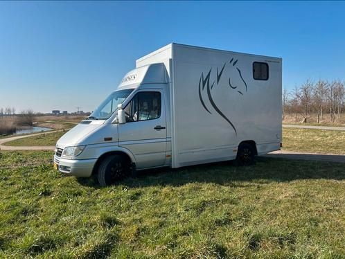 Paardenwagen te huur!180.000 km Mercedes sprinter nieuwe apk, Dieren en Toebehoren, Paarden en Pony's | Trailers en Aanhangwagens