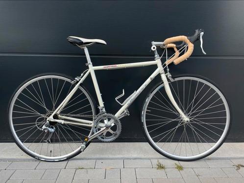 Giant peloton racefiets, Fietsen en Brommers, Fietsen | Racefietsen, Zo goed als nieuw, Giant, Meer dan 20 versnellingen, 28 inch
