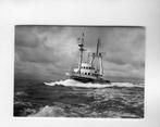 scheepvaart-foto-IJMUIDEN-wijsmuller-div schepen, Ophalen of Verzenden, Zuid-Holland