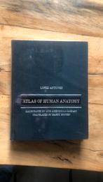 Atlas of human anatomy. Lopez-Antunez 1971, Ophalen of Verzenden