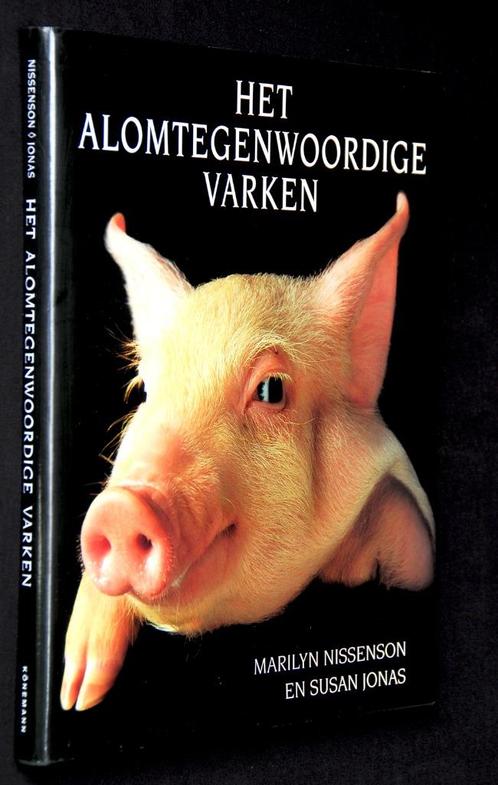 Schitterend boek "Het Alomtegenwoordige Varken in de Kunst", Boeken, Kunst en Cultuur | Beeldend, Nieuw, Schilder- en Tekenkunst