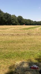 Hooi paardenhooi analyse aanwezig Pavo, Ophalen of Verzenden, Vee