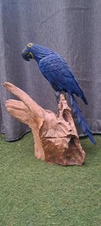 Hyacint ara houtsnijwerk, Antiek en Kunst, Ophalen