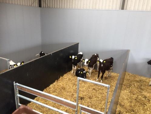 Kunststof hokafscheiding / hokinrichting - klikpanlen, Dieren en Toebehoren, Schapen, Geiten en Varkens, Varken, Meerdere dieren