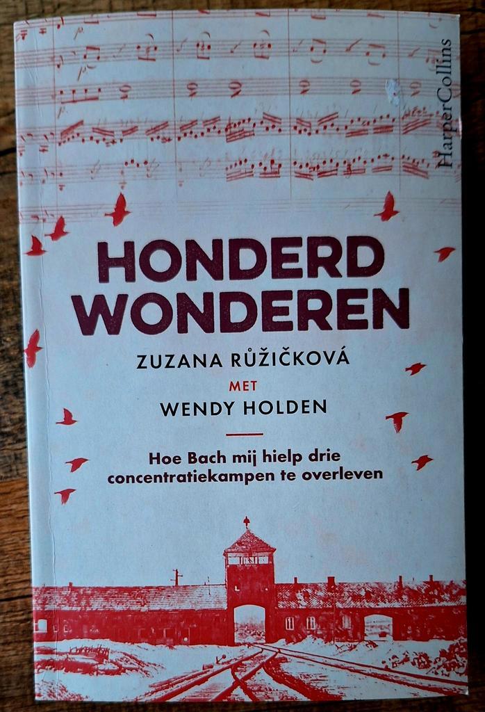 Honderd wonderen, Boeken, Romans, Zo goed als nieuw, Ophalen of Verzenden