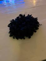 Pieten pruik - allerlei soorten - als nieuw - zwarte pruik, Diversen, Sinterklaas, Ophalen of Verzenden, Zo goed als nieuw