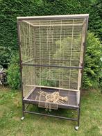 Vogelkooi, Dieren en Toebehoren, Ophalen, Zo goed als nieuw, Metaal, Vogelkooi