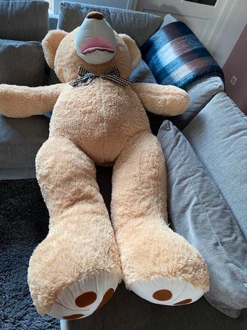 Hele grote knuffelbeer +|_155 cm beschikbaar voor biedingen