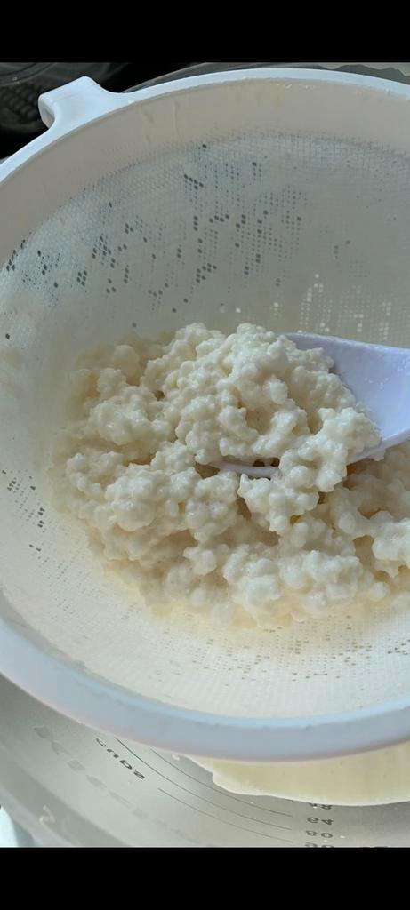 kefir korrels, biologische melkkefir korrels, probiotica, Diversen, Levensmiddelen, Ophalen