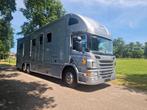 Occasion 8 horses with living area!, Auto's, Automaat, Bedrijf, Diesel, 2 stoelen