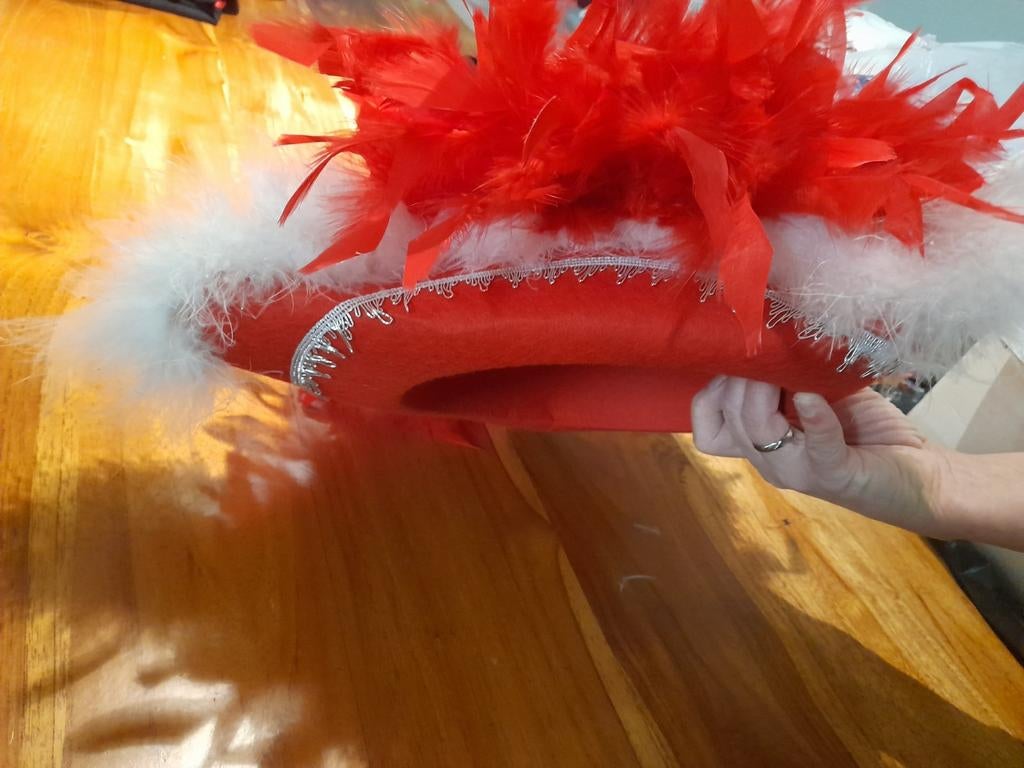 Rode hoed met veren, Maat 38/40 (M), Carnaval, Ophalen of Verzenden, Zo goed als nieuw