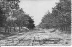 Luyksgestel  Bosweg naar Openluchttheater., Ophalen of Verzenden, 1940 tot 1960, Gelopen, Noord-Brabant