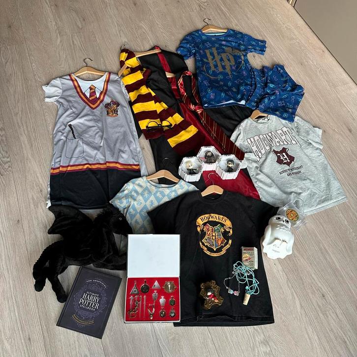 Harry Potter spullen en kleding set (maat 134), Kinderen en Baby's, Carnavalskleding en Verkleedspullen, Zo goed als nieuw, Jongen of Meisje