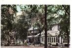 Udenhout Bos en Duin 1963 mooie Bromocolor kaart., Verzamelen, Ansichtkaarten | Nederland, Verzenden, 1960 tot 1980, Ongelopen