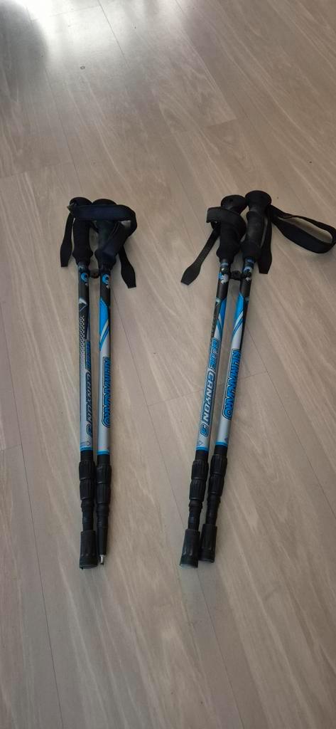 Wandelstokken / telescoop Kilimanjaro (Blue canon 3), Sport en Fitness, Bergsport en Wandelen, Zo goed als nieuw, Wandelstok, Ophalen of Verzenden