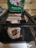 Hamsterkooi met attributen te koop!, Ophalen
