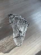 Buggy regenboes universeel, Ophalen of Verzenden