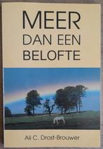 Meer dan een belofte - Ali C. Drost-Brouwer, Boeken, Gelezen, Ophalen of Verzenden, Ali C Drost-Brouwer, Nederland