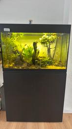 Aquarium oase styleline 175, Ophalen of Verzenden, Zo goed als nieuw, Leeg aquarium