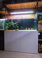 Aquarium AQUAJA op maat gemaakt 350L, Dieren en Toebehoren, Vissen | Aquaria en Toebehoren, Ophalen, Zo goed als nieuw, Leeg aquarium