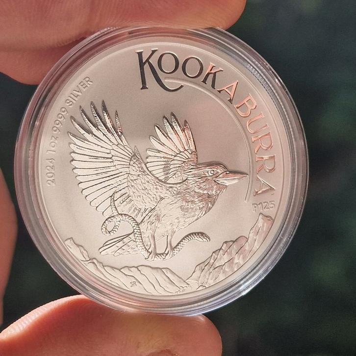 1 oz zilver Australia Kookaburra 2024, Postzegels en Munten, Edelmetalen en Baren, Zilver, Ophalen of Verzenden