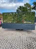 Planten bakken kompleet met groene hagen er in, Ophalen of Verzenden, Hout, Balkon