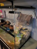 Hamsterhok 100x40x50, Dieren en Toebehoren, Gebruikt, 75 tot 110 cm, Ophalen, Minder dan 60 cm