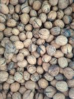 Biologische walnoten aanbieding!, Diversen, Levensmiddelen, Ophalen of Verzenden