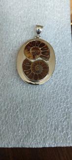 Ammonite verzilverde hanger, Overige voorstellingen, Ophalen of Verzenden, Zo goed als nieuw, Zilver